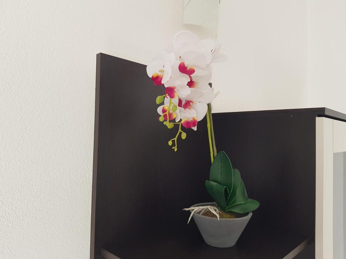 Apartman Mia With Pool1 Split Ngoại thất bức ảnh